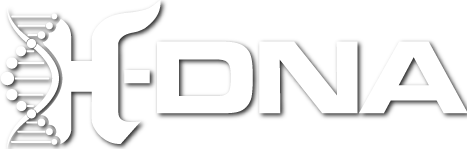 H-DNA